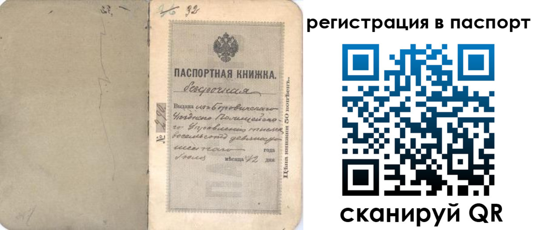 прописка гарантия в Камышине